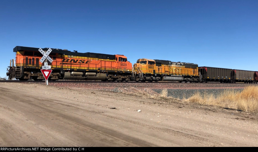 BNSF 9893/5829